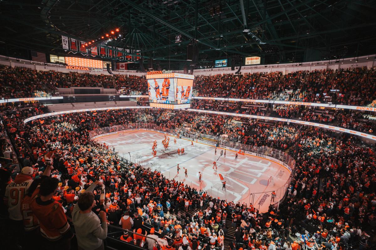 Ducks Game