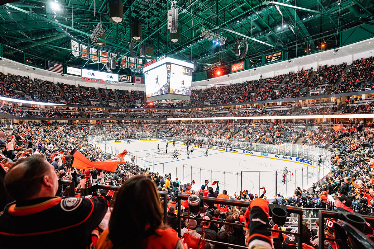 Honda Center Ducks Game