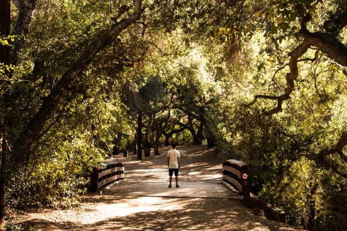 Oak Canyon Nature Center, Hikes near Anaheim