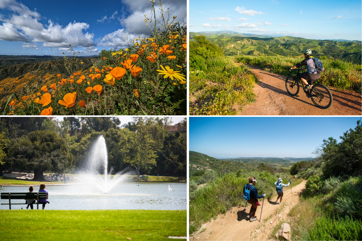 Biking, Hiking, and Outdoor Adventures in Anaheim