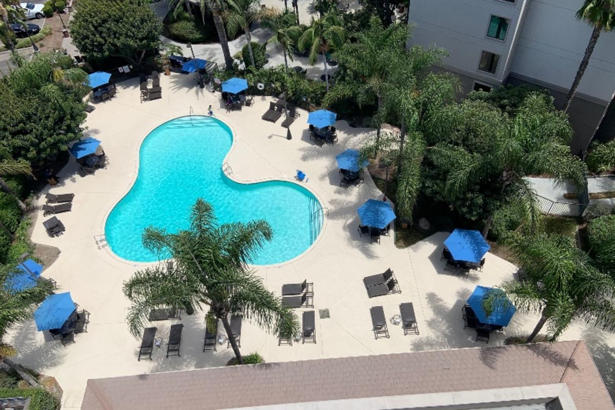 Sonesta Pool