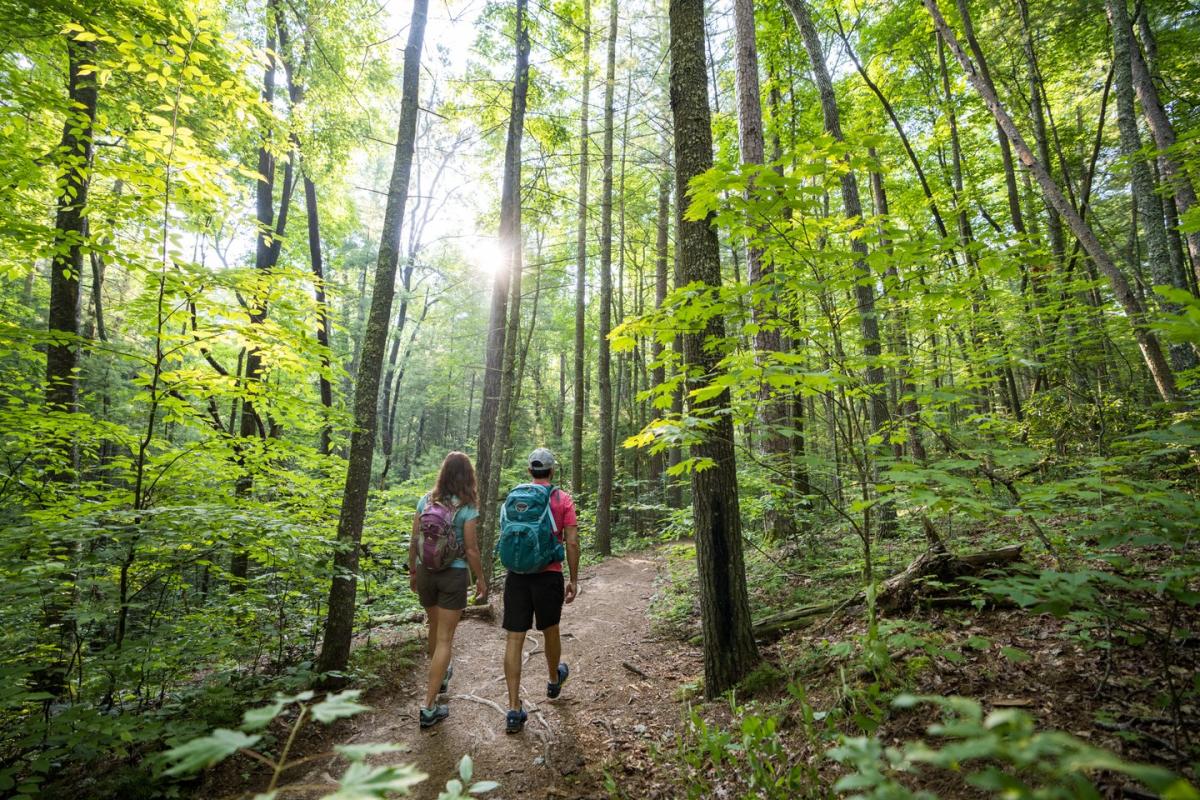 Hiking in Pisgah National Forest near Asheville, NC