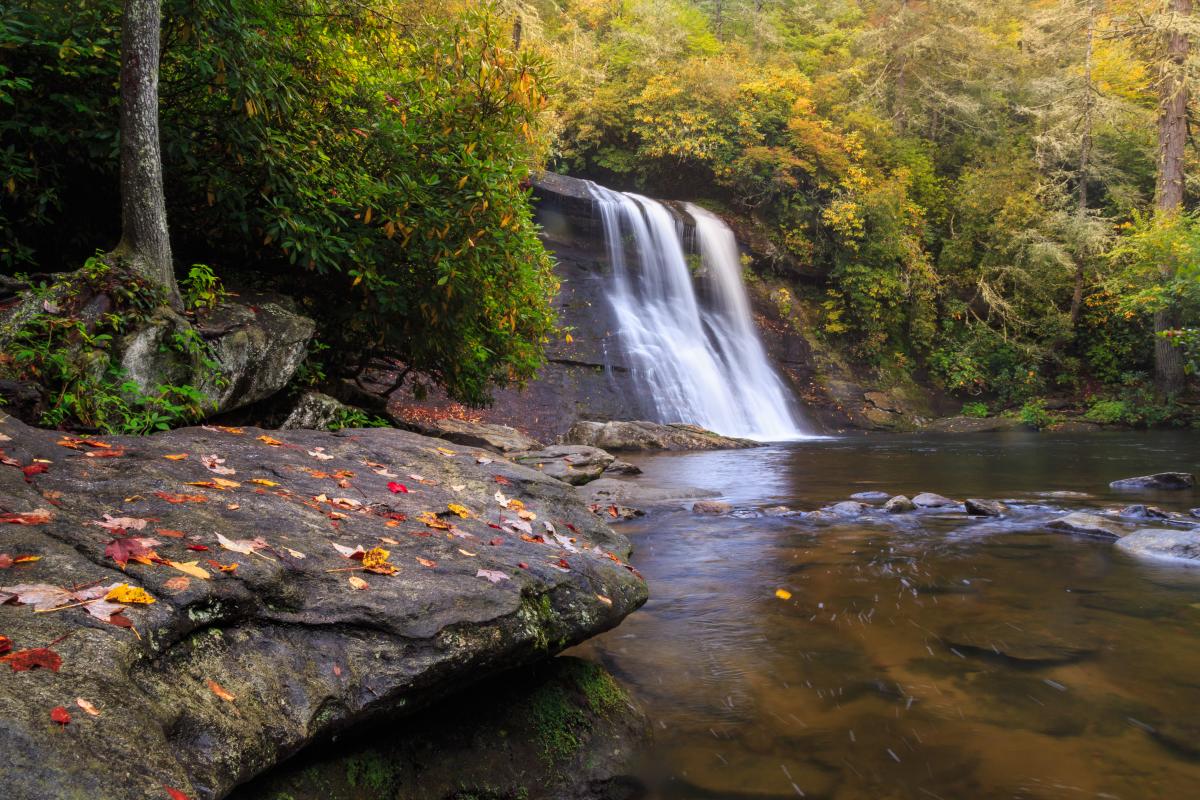 2015 Color Report: Silver Run Falls