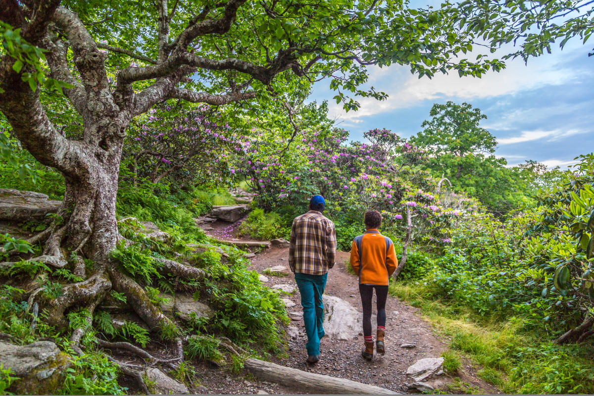 A couple hikes the Craggy Gardens Pinnacle Trail near Asheville, NC