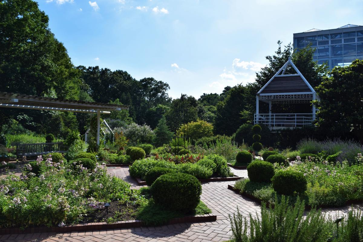 Athens Botanical Garden