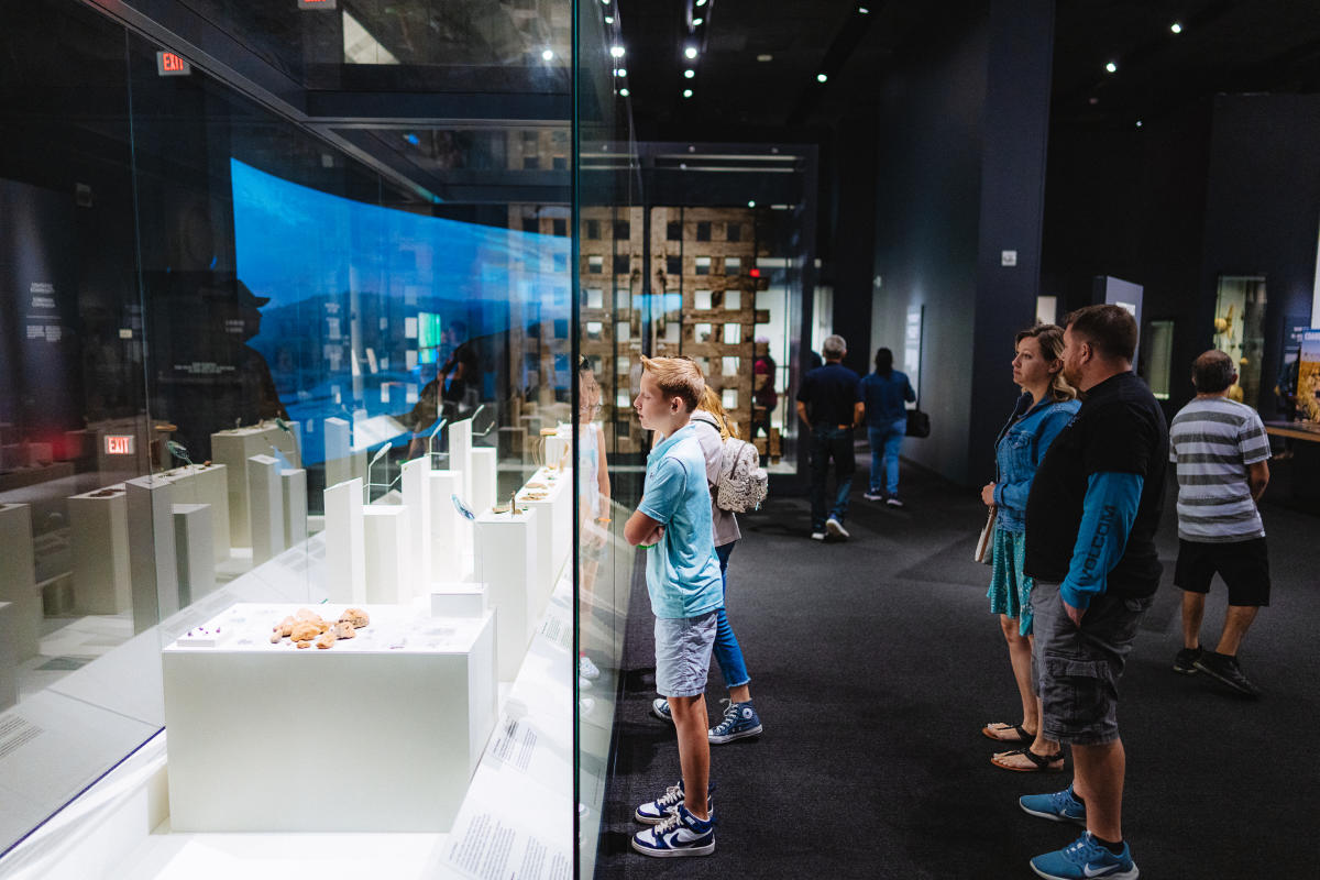 Image of a boy looking into a glass display case with his parents standing behind him.