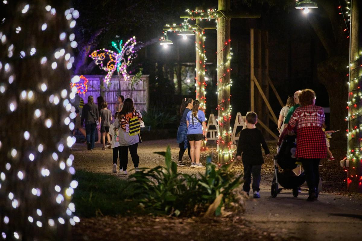 Zoo lights