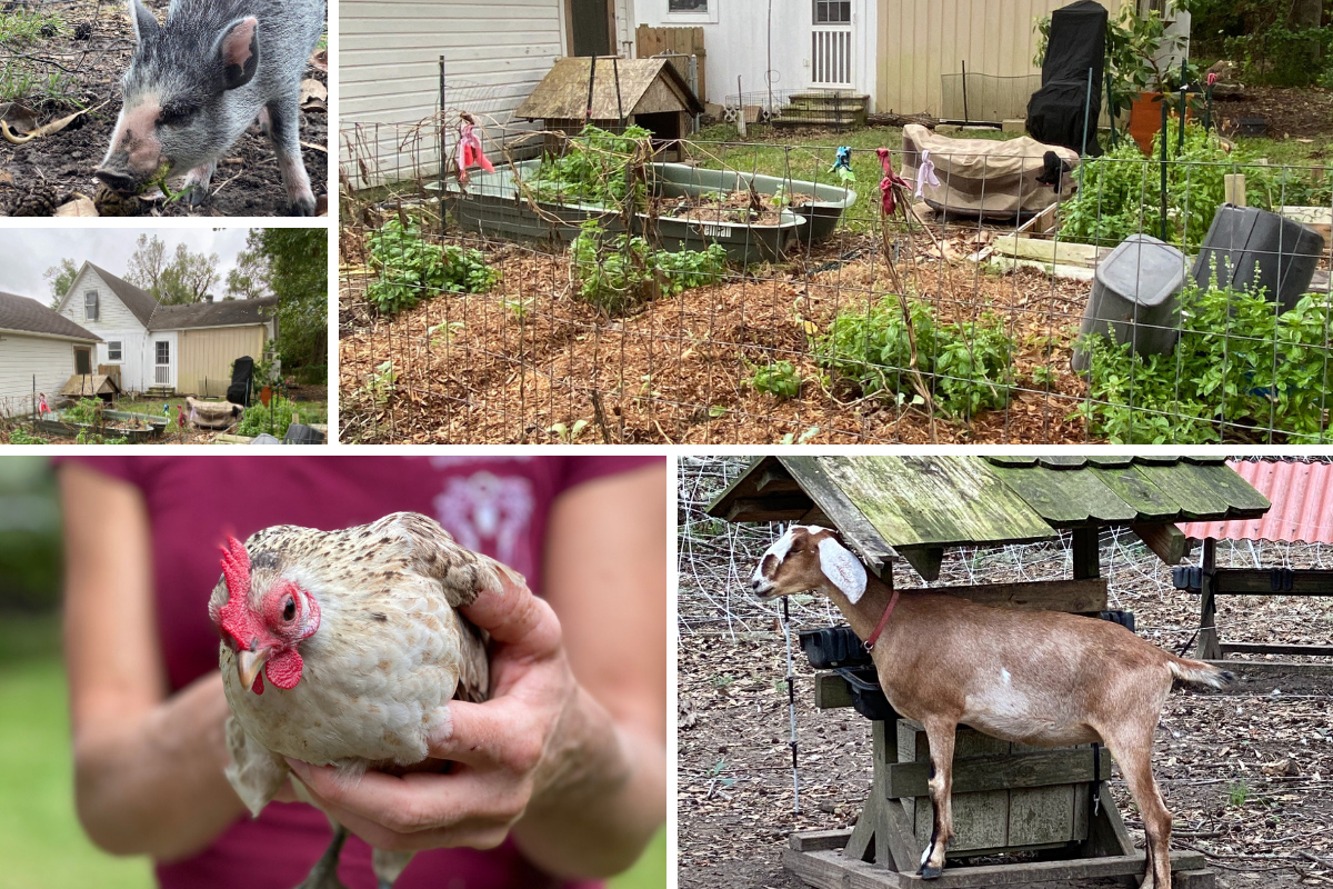 chosen weeds farm