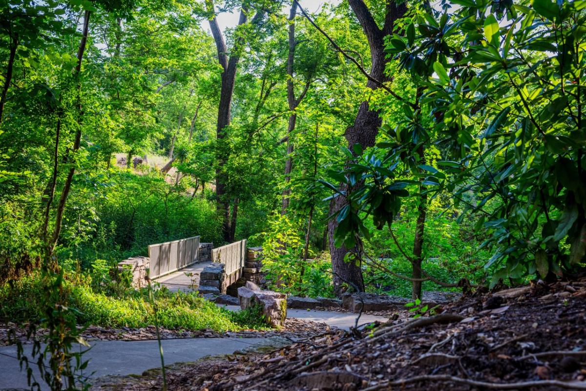 A winding path leads through lush greenery to a wooden bridge, surrounded by tall trees and vibrant foliage, inviting exploration.