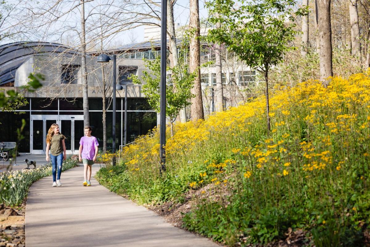 Crystal Bridges in Spring