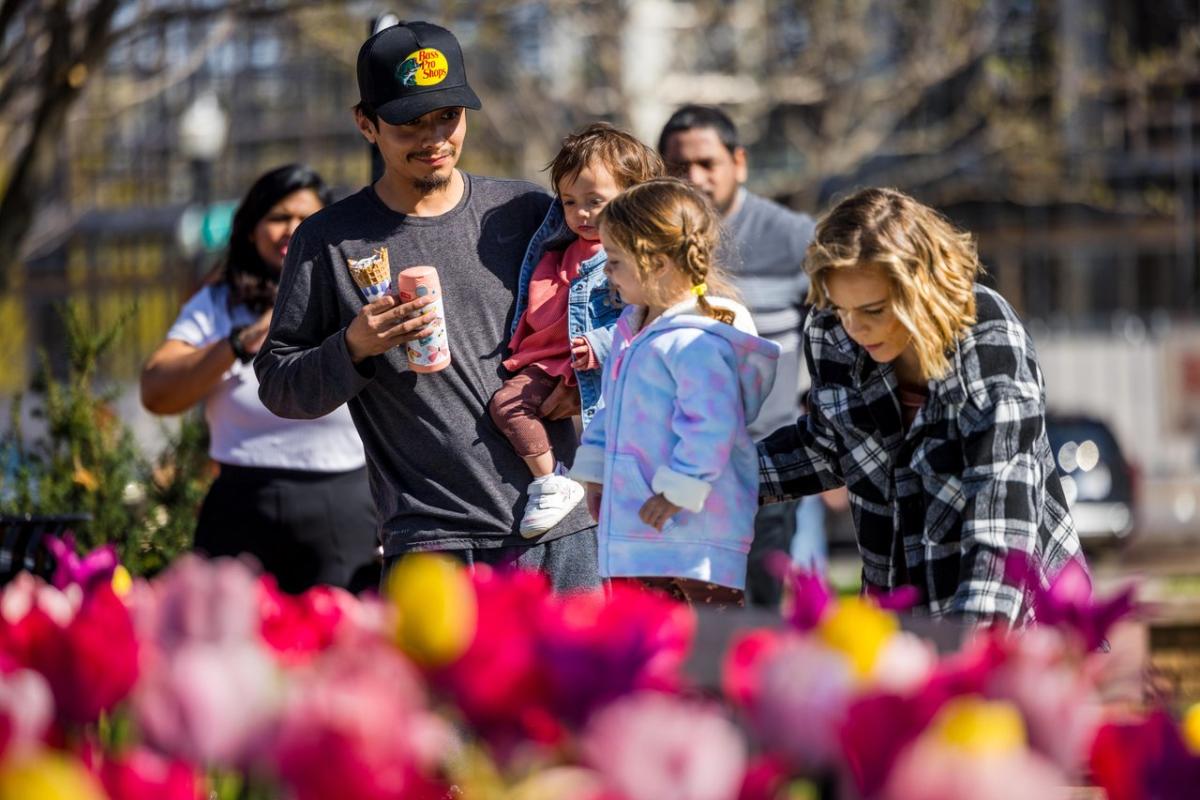 A family enjoys a vibrant flower garden, with tulips in the foreground. Two adults and two children interact amidst the blooms.
