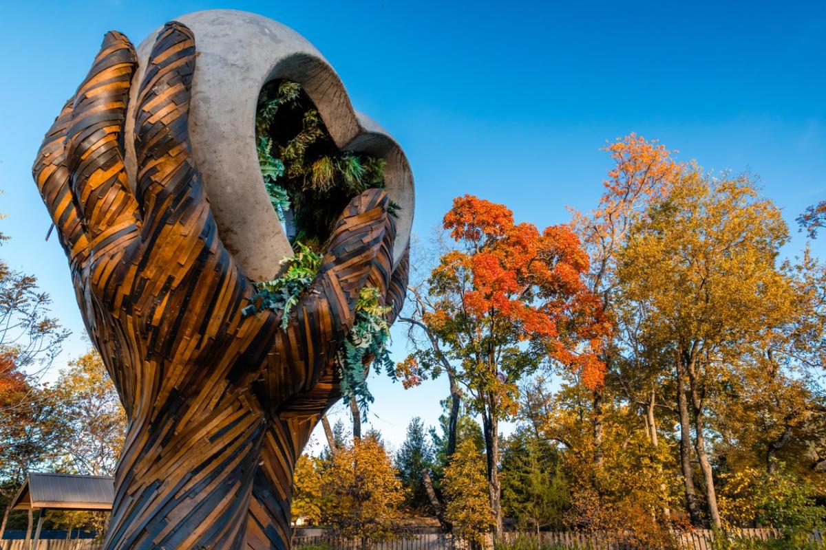 A large, artistic hand sculpture made of wood and concrete, cradling greenery, surrounded by vibrant autumn trees under a clear blue sky.