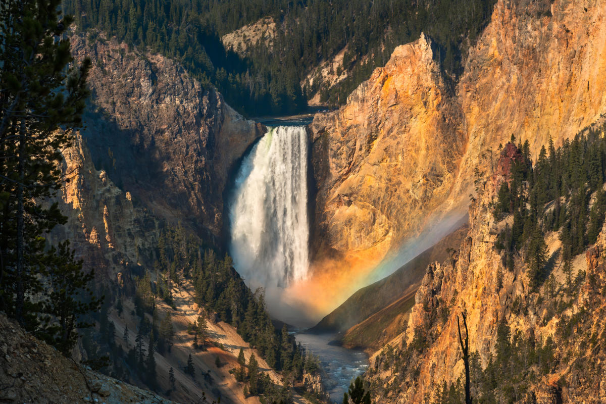 Grand Canyon Of Yellowstone