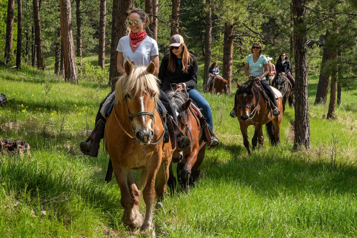 Trail Riding