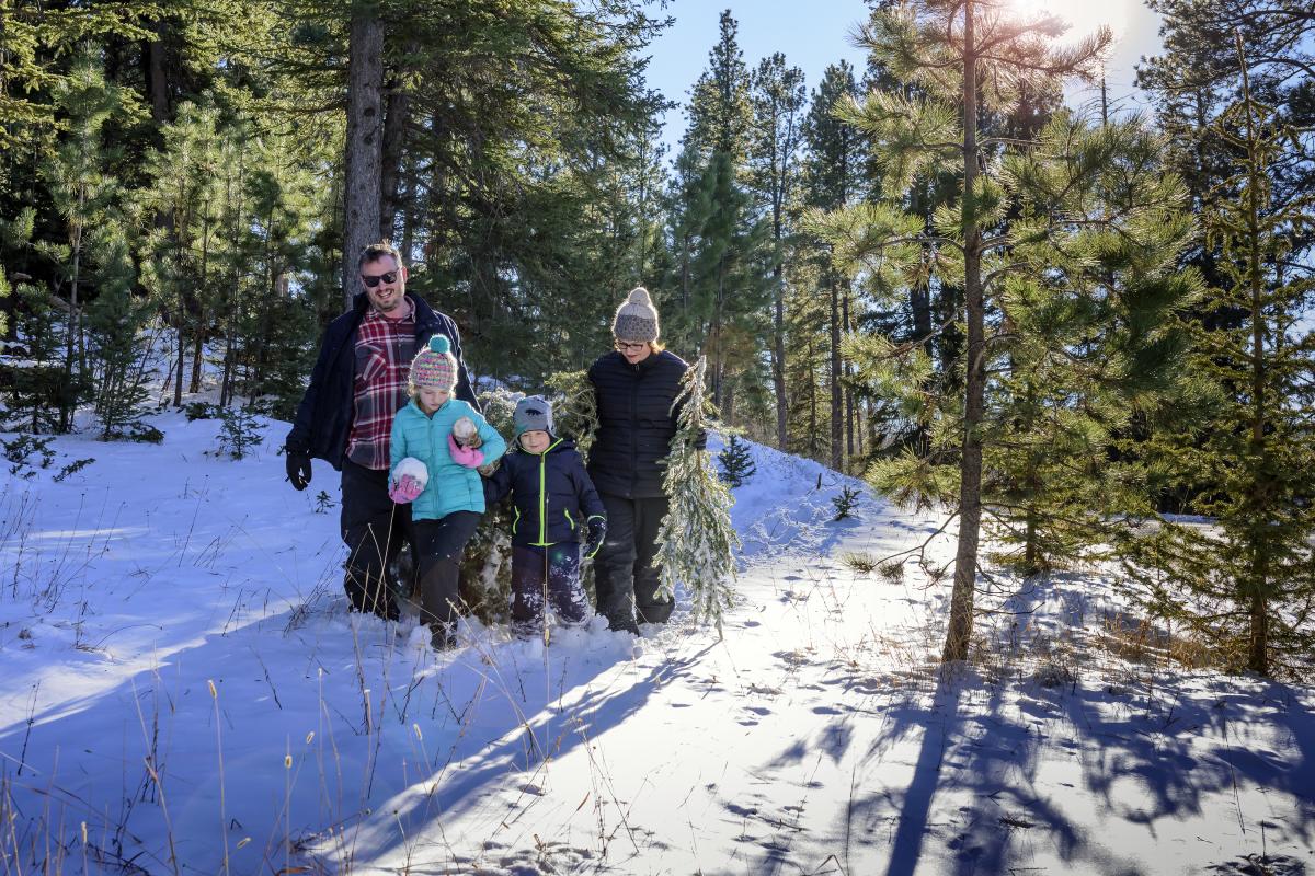 Christmas Tree Cutting