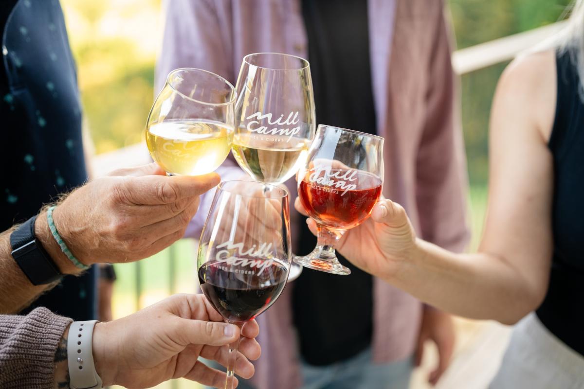 Four people with varying colors of wine and cider join glasses reading "Mill Camp" for a toast.