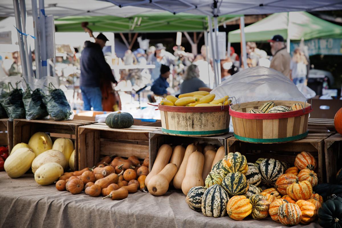 A selection of fall gourds and squash are displayed on a market table with a band playing in the background.