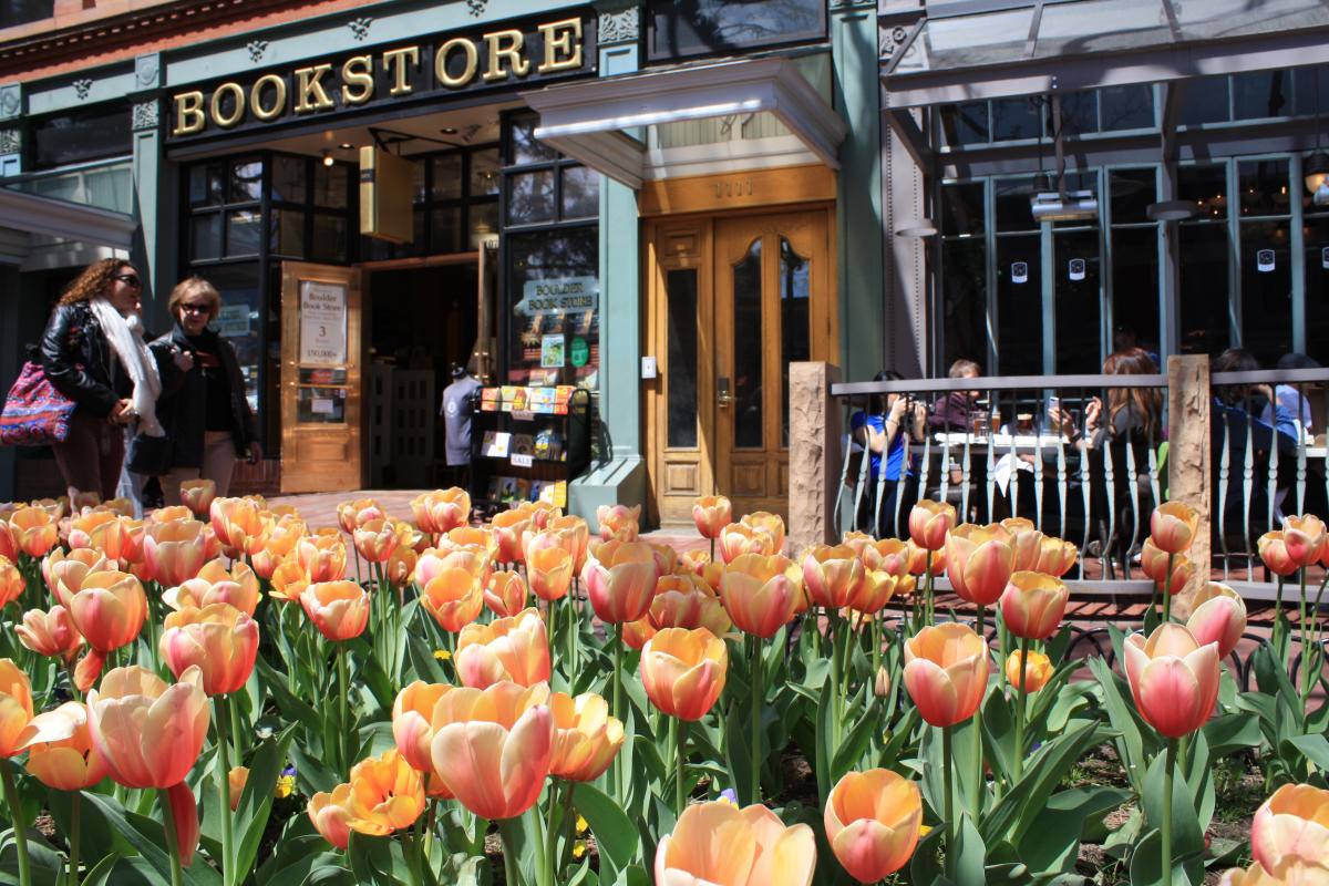 Tulips in front of Boulder Bookstore