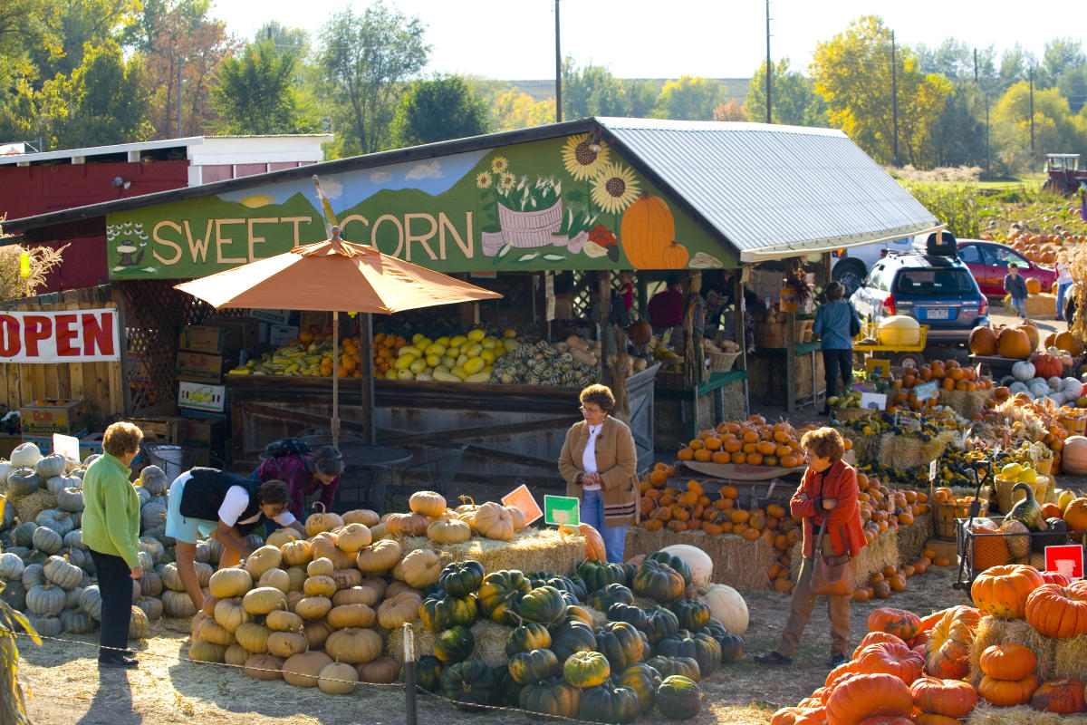 Munson Farm Stand