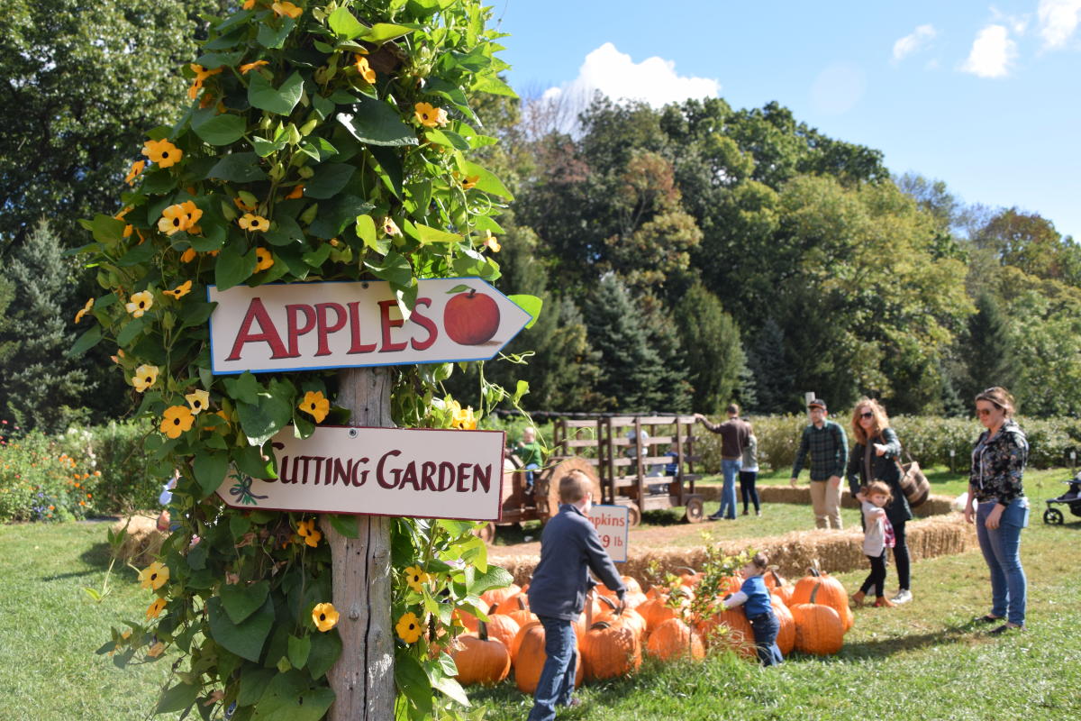 Apple Picking at Solebury Orchards