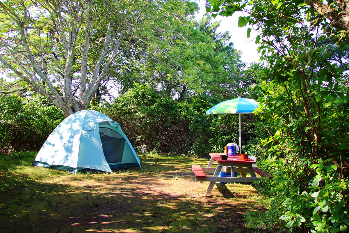 Coastal Acres Campground