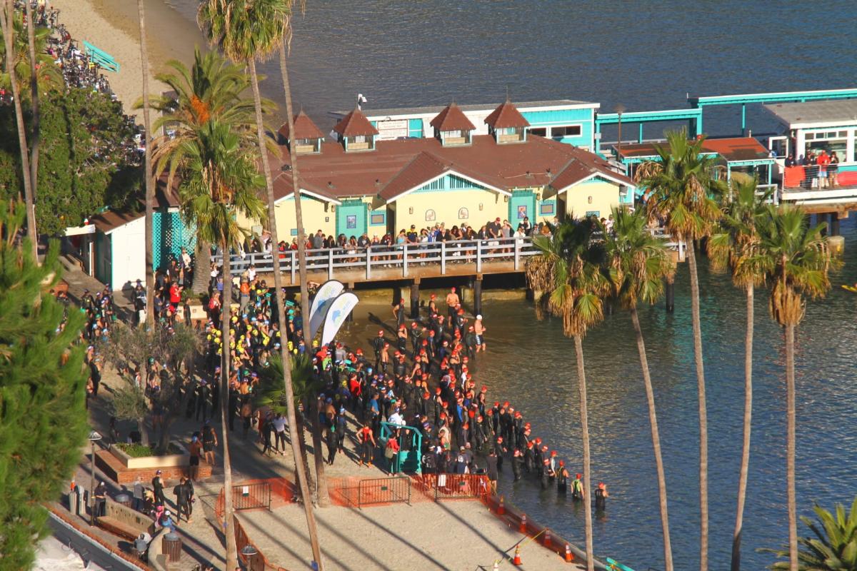 Catalina Triathlon