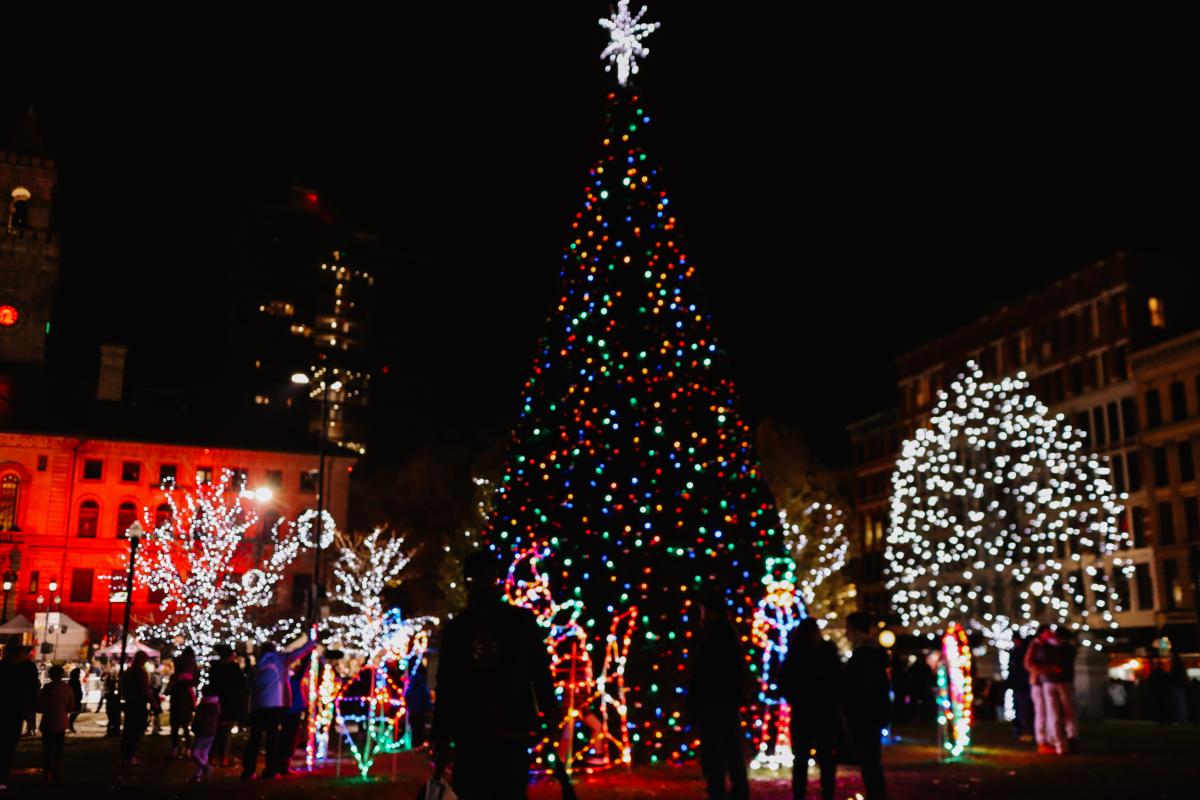Worcester Festival of Lights