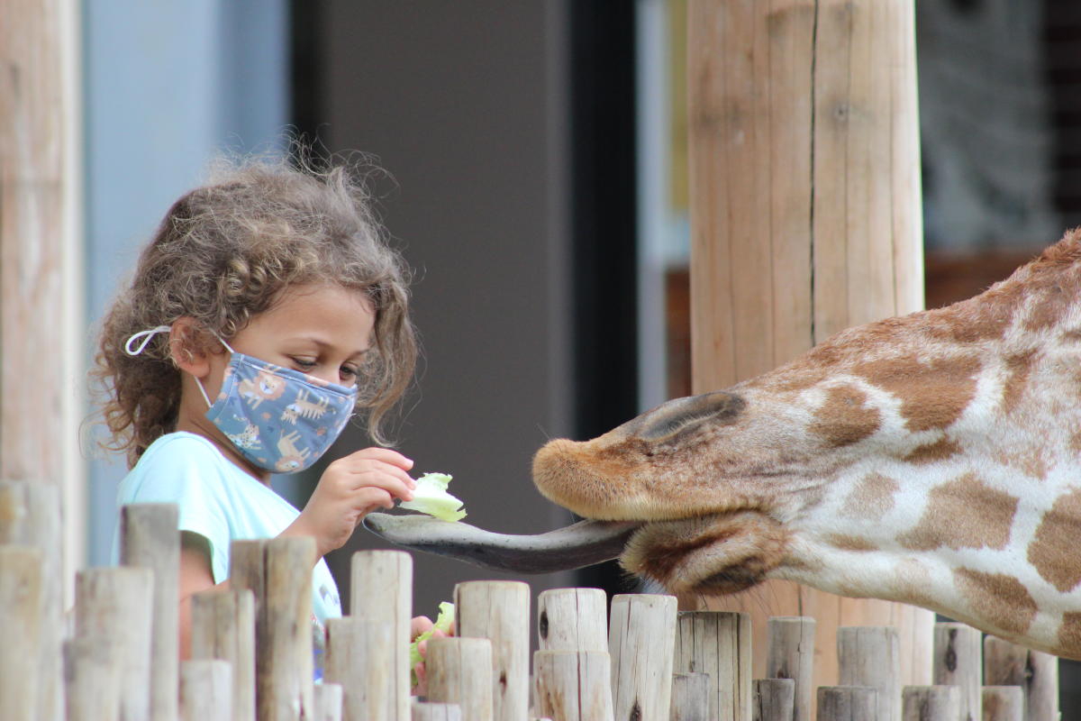 Chattanooga Zoo_Visitor with Mask