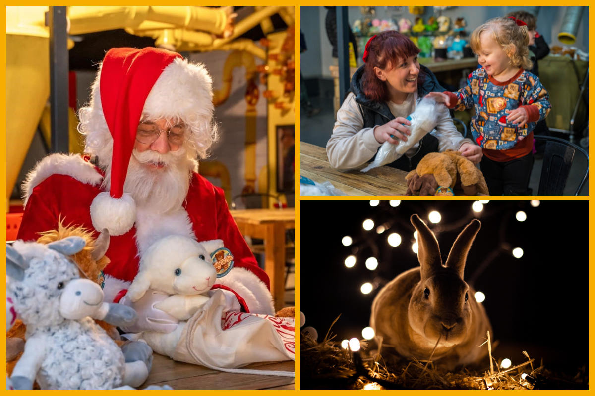 Collage of families experiencing Christmas on the farm at Cotswold Farm Park.