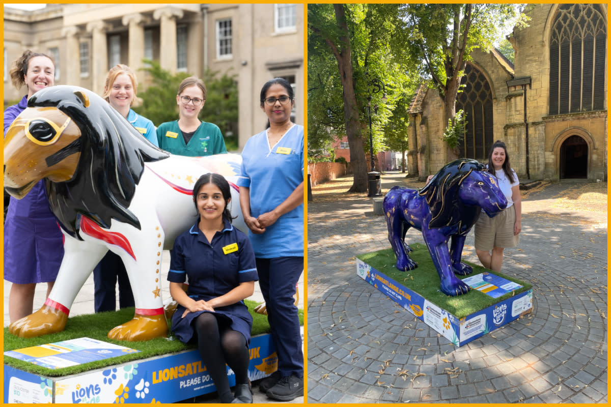 Image (left to right) Oncology Staff with The King lion sculpture at Cheltenham General Hospital by Medical Photography GHNHSFT, Janine Smith with Look for Stars at Minster Exchange, Cheltenham