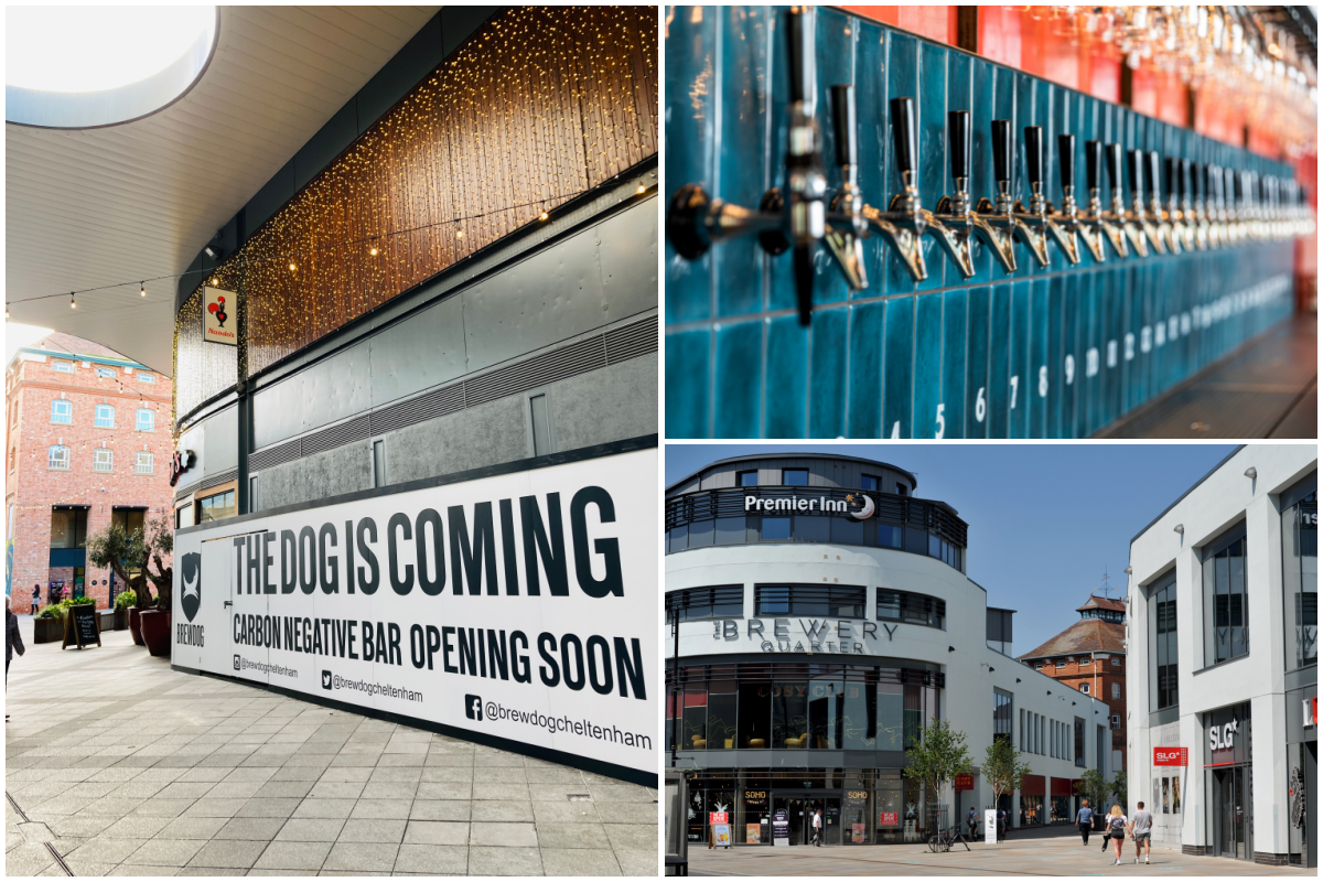 BrewDog coming to Cheltenham