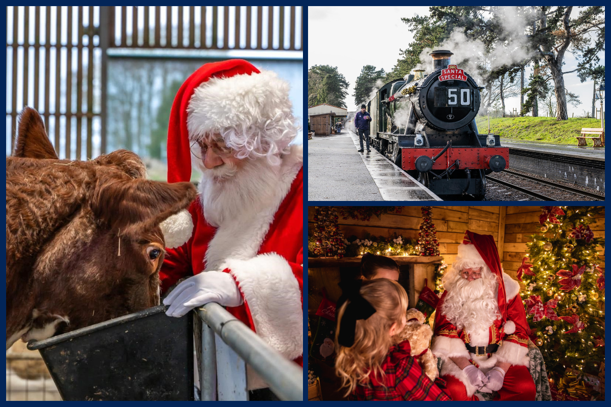 Collage of Santa feeding a cow at Cotswold Farm Park, Santa Express at GWSR, Christmas Grotto at Webbs.