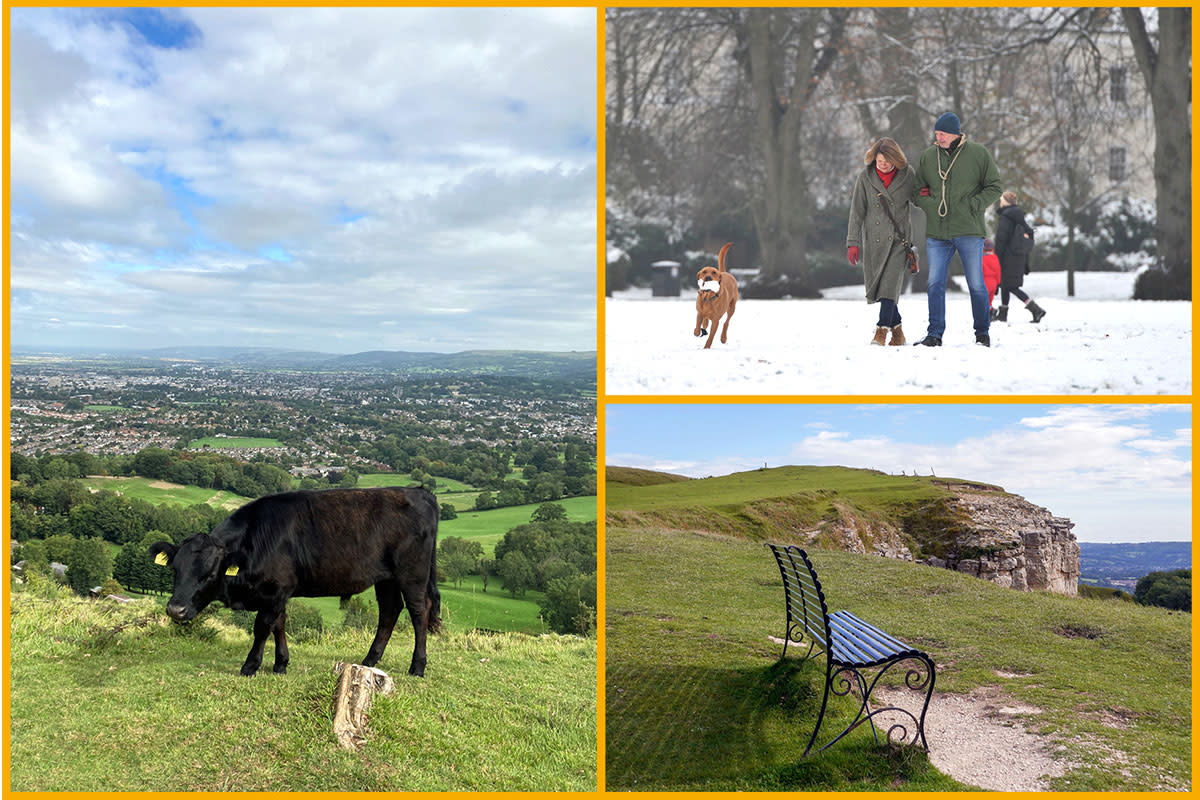 Leckhampton Hill, Pittville Park, Cleeve Hill