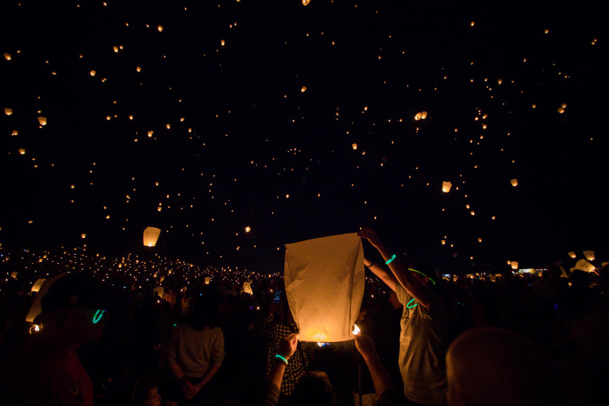 lights fest2