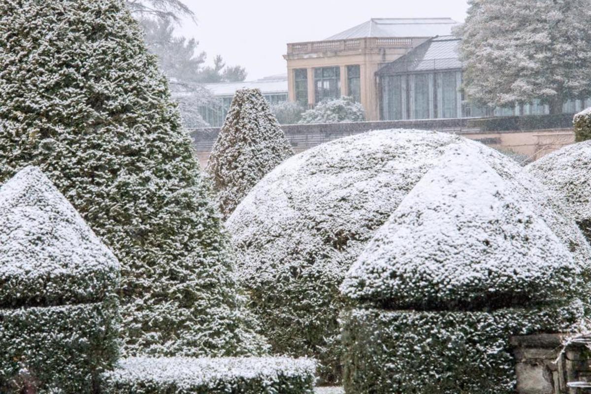 Longwood Gardens snow Fall