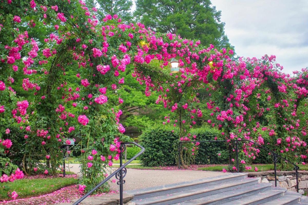 Longwood Gardens Rose Arbor