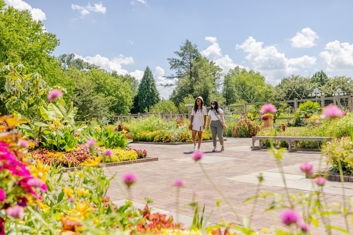 Longwood Summer 2024