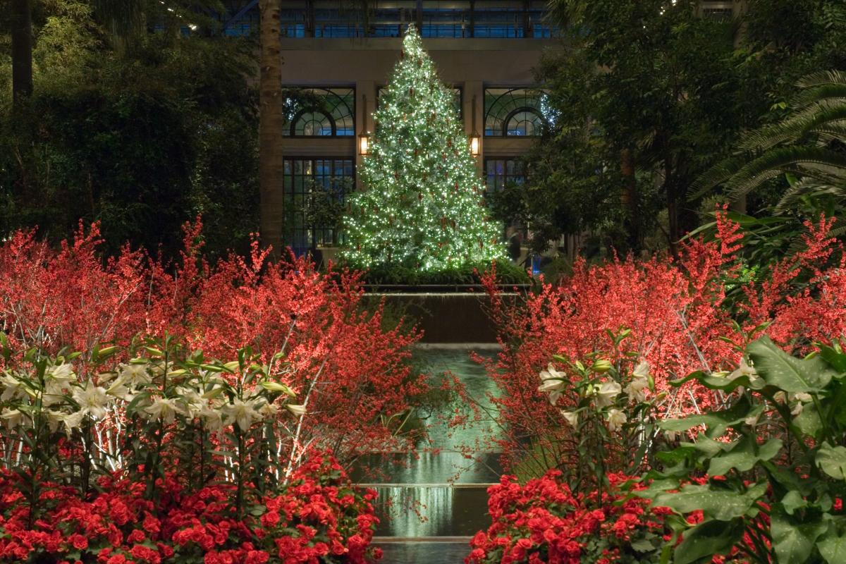 Longwood - Chateau blog Xmas