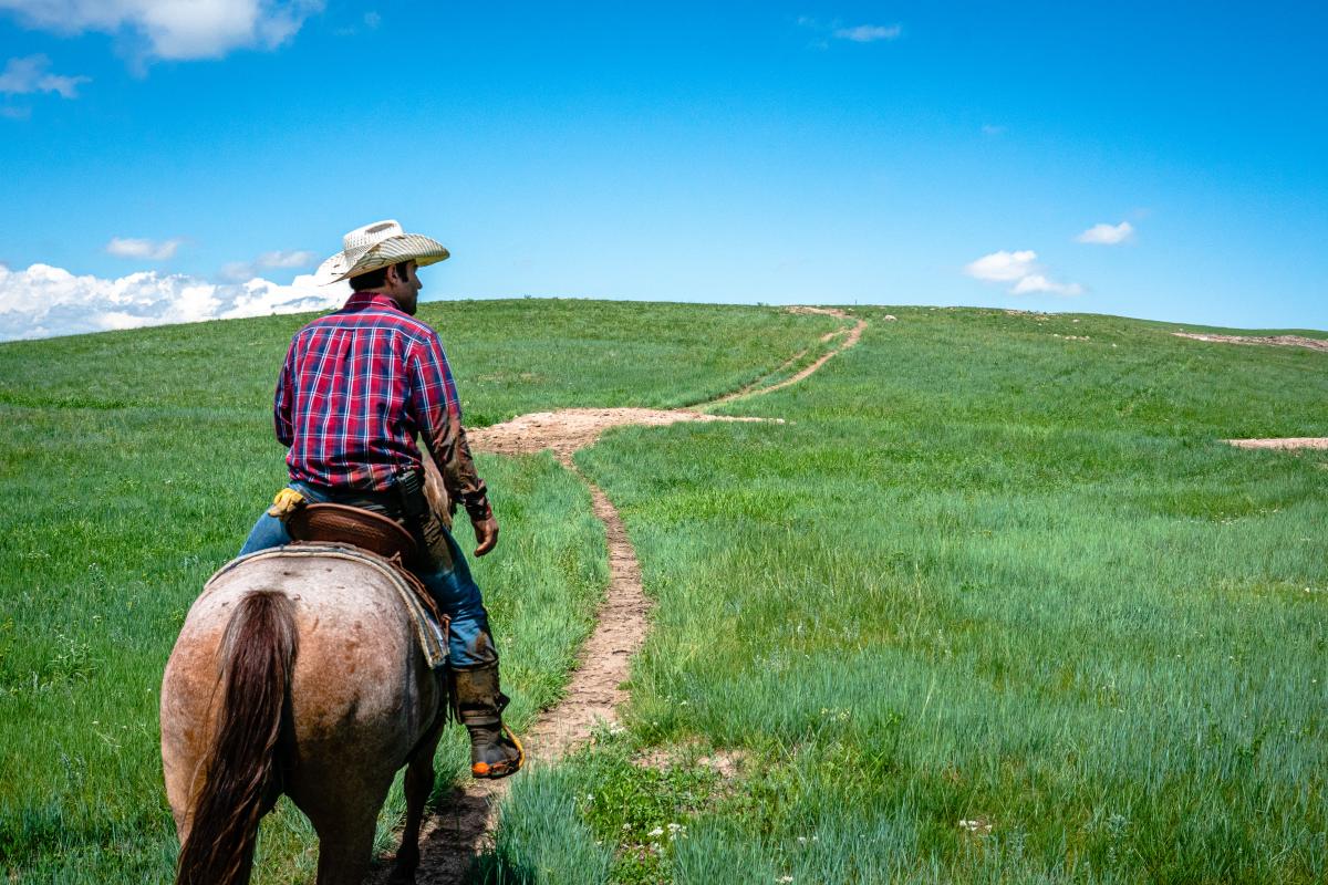 A man goes horseback riding in Terry Bison Ranch.