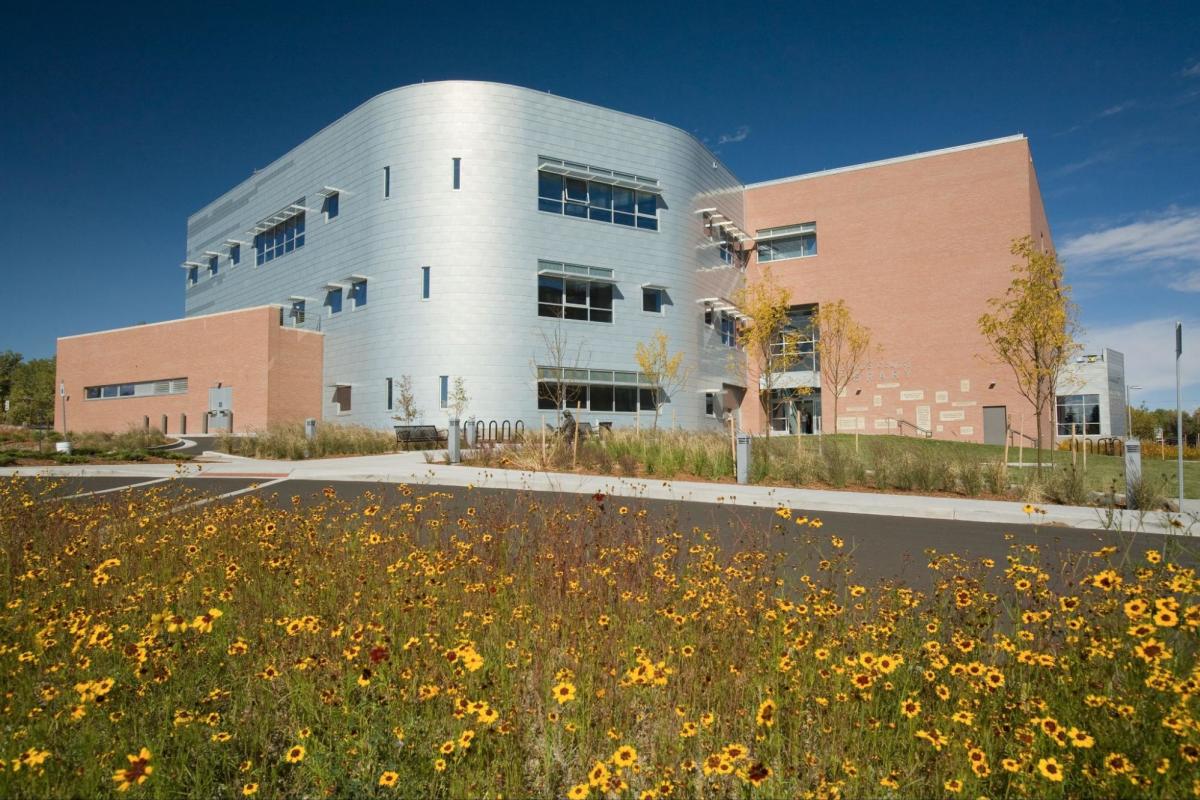 Laramie County Library surrounded by wildflowers, showcasing its modern architecture and inviting environment for a family things to do.