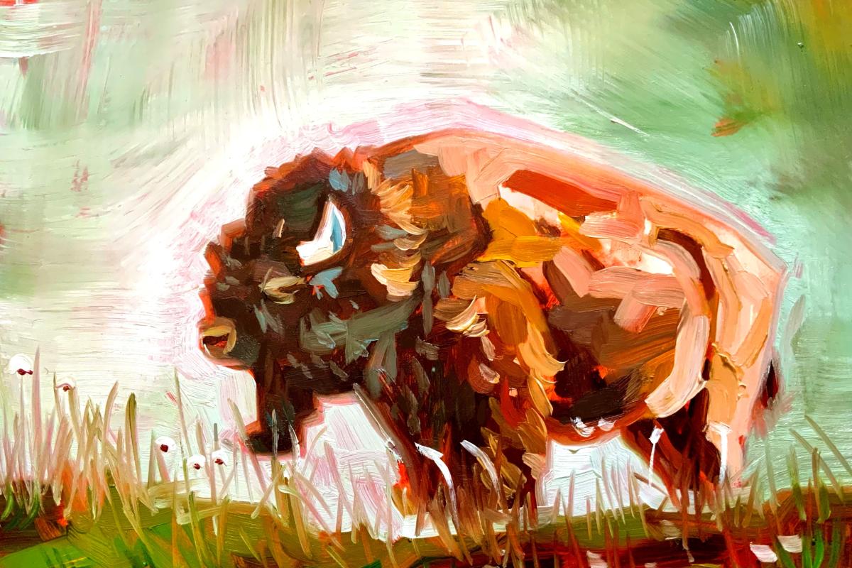 Oil painting of male bison facing into the sun.