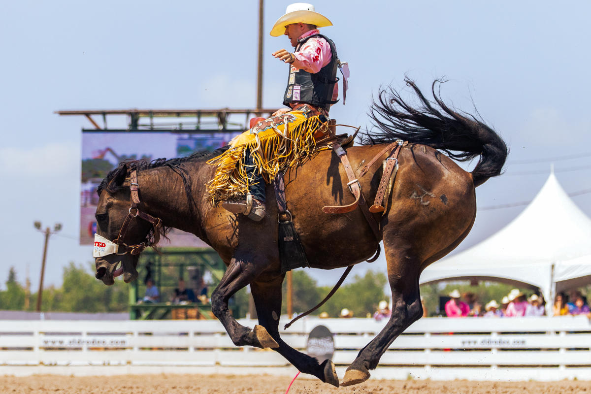 Brody bucking at CFD