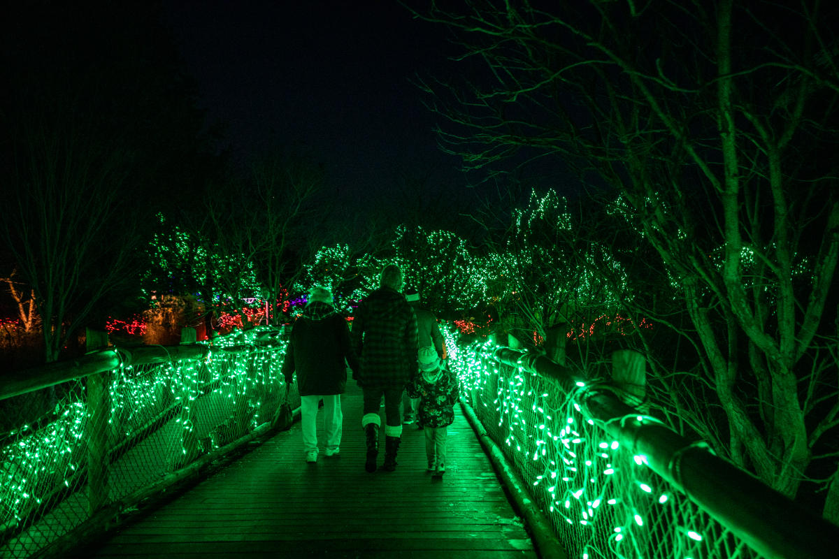 Image is of a family of three walking across a bridge at the Cincinnati Zoo lit up with holiday lights.