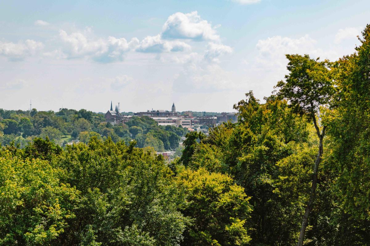 Fort Defiance Skyline