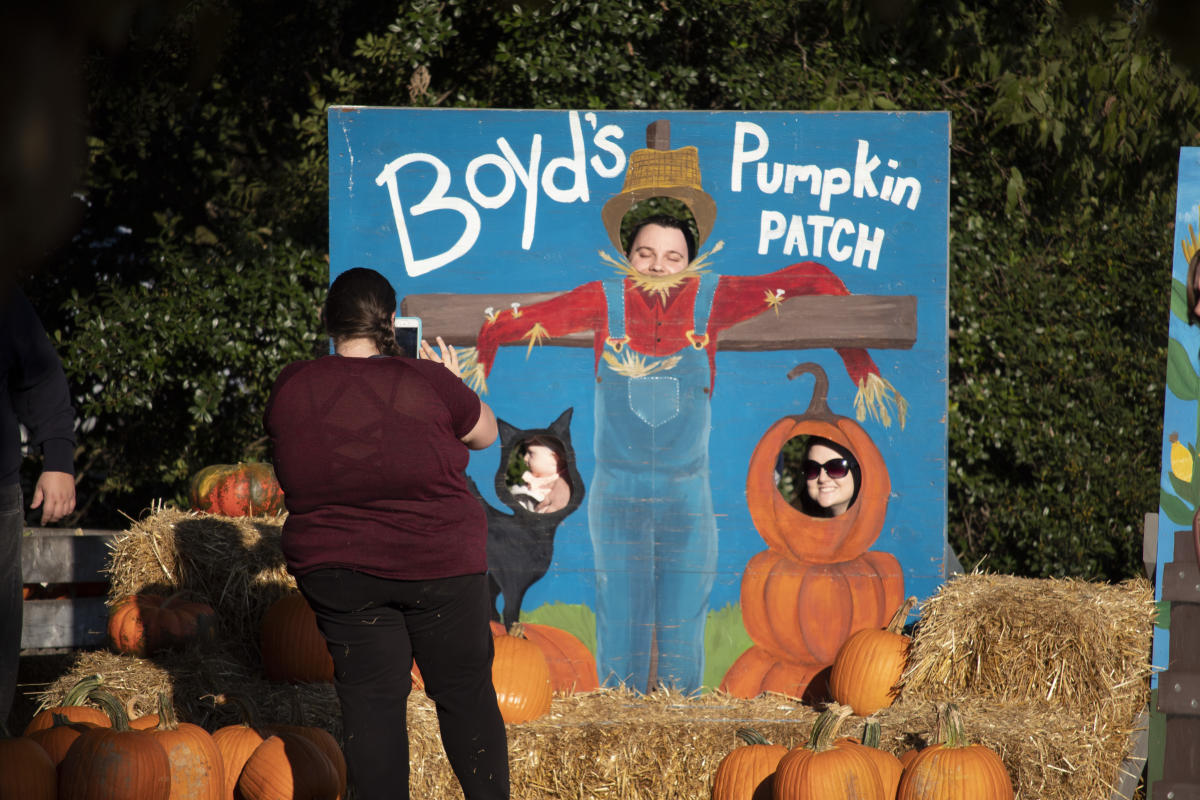 kids posing in a pumpkin display for photos