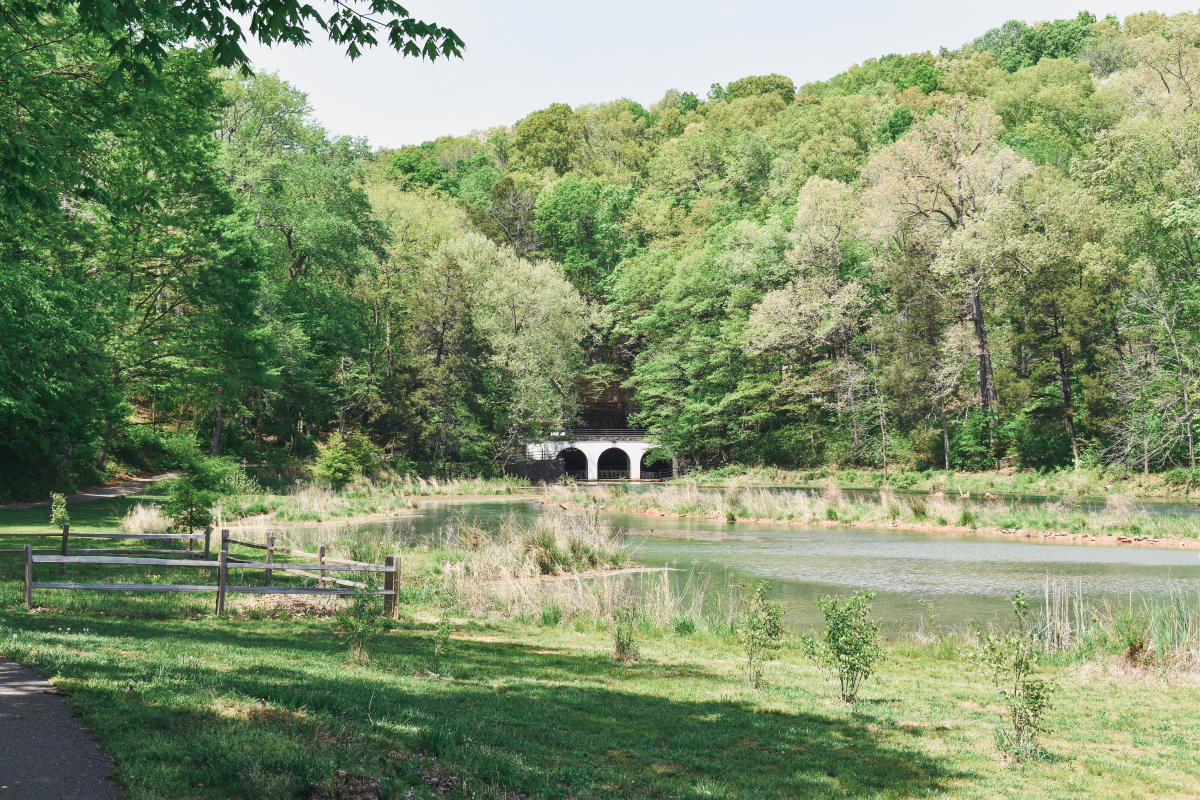 scenic view at Dunbar Cave State Park