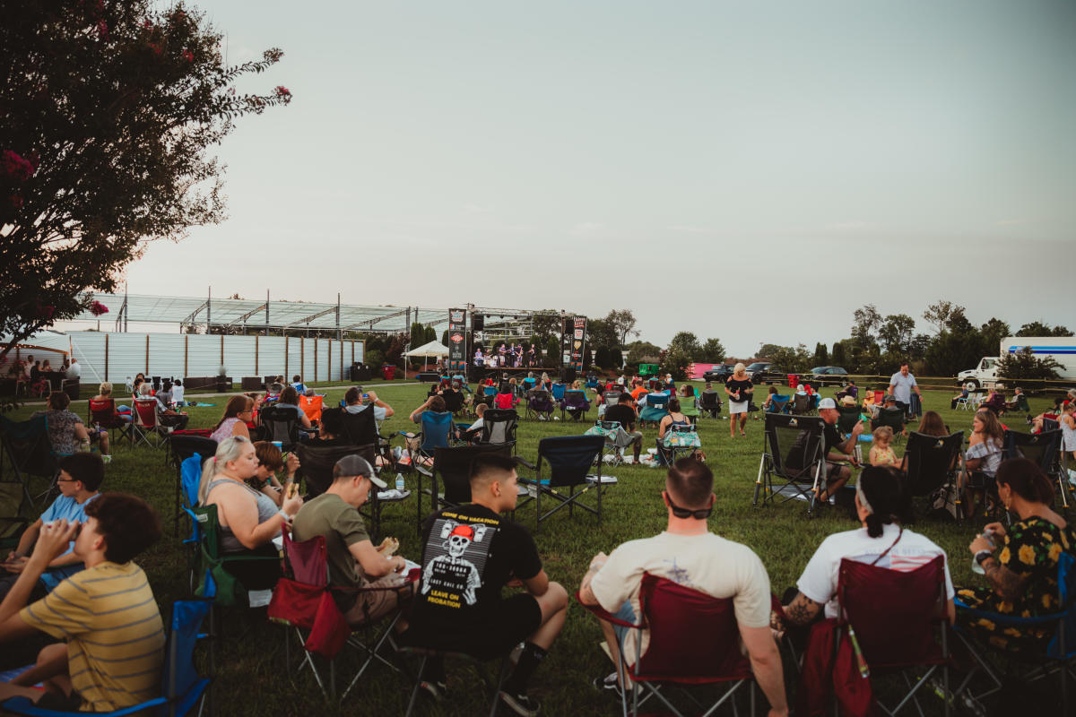 crowd at an outdoor concert