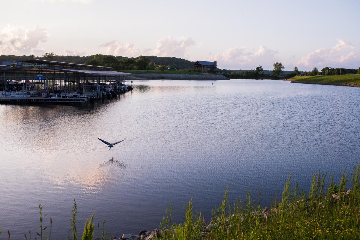 sunset at a marina