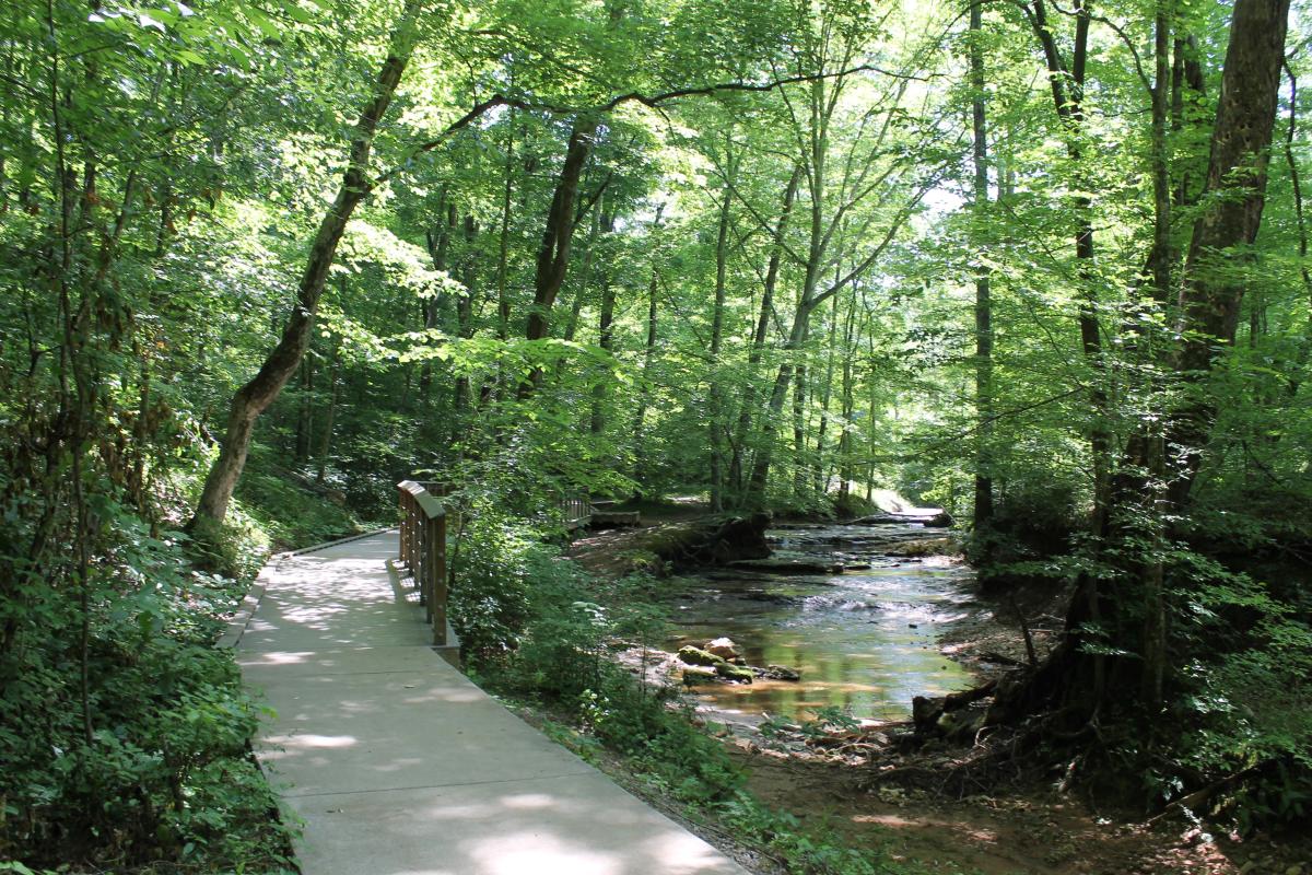 a walking trail beside a creek full of water