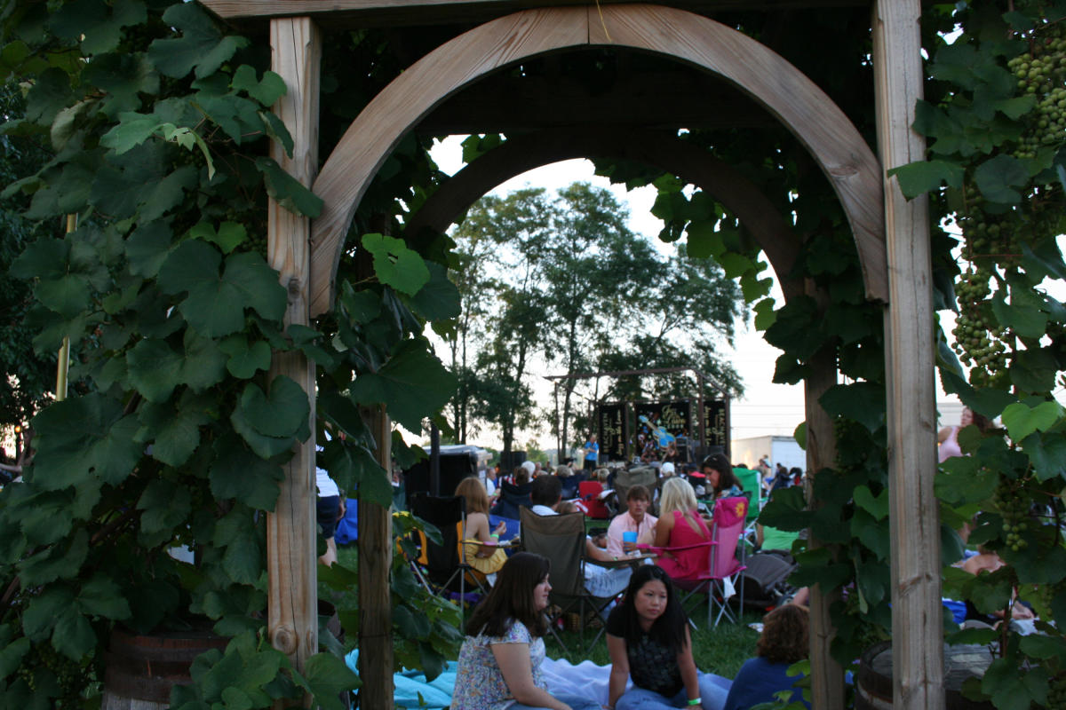 people sitting on a grass lawn listening to live music